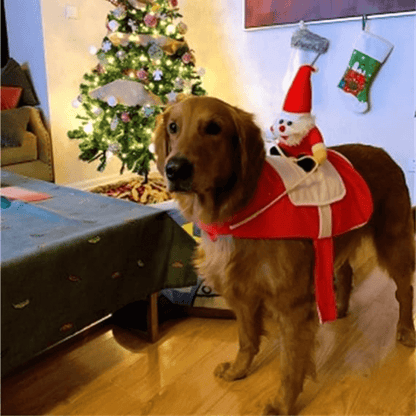 Pets® Traje Papá Noel para Mascota